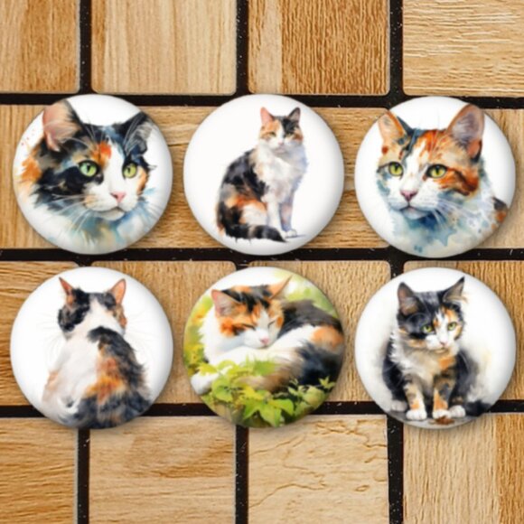 Calico Cat Fridge Magnets Set Of 6 Metal Magnets For Home Office Kitchen School - Picture 1 of 6